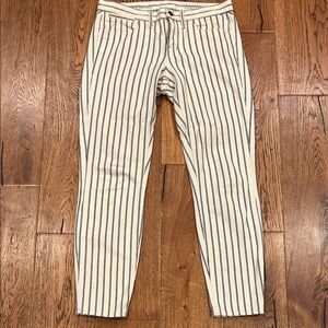 Madewell Skinny Skinny Ankle Jeans Sz 28 Stripe Ivory White Blue Stretch